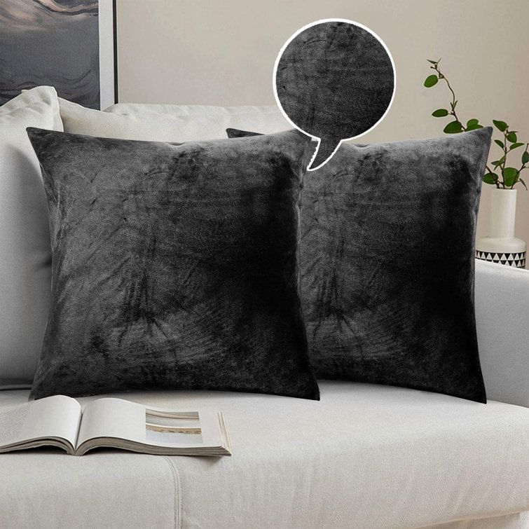 Canora Grey Skrolan Crushed Velvet Scatter Cushion Cover Wayfair.co.uk